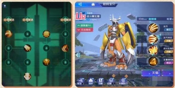 技能搭配示意圖