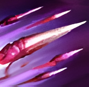 科加斯技能效果