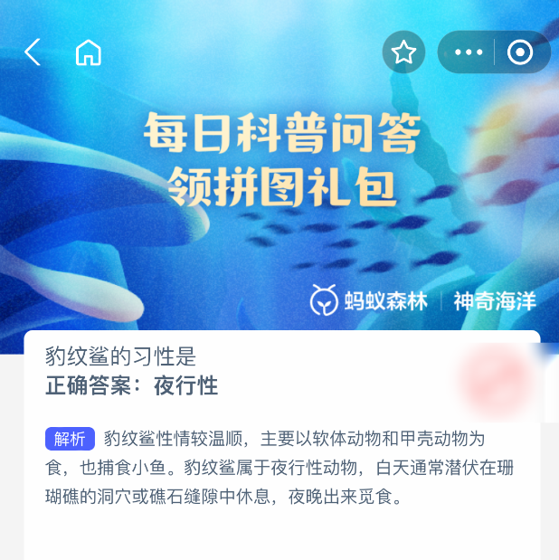豹紋鯊的習性揭秘：為什么它們是夜行性動物？-景澄手游網