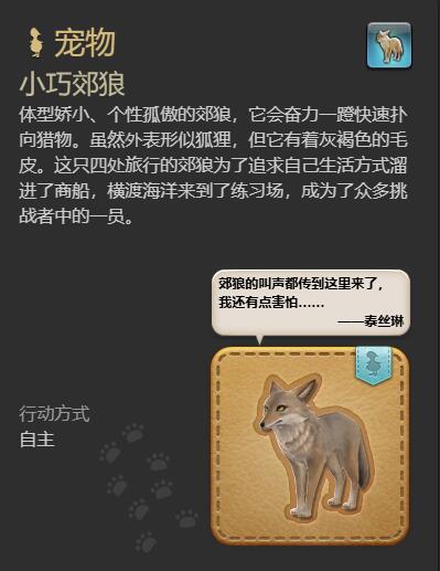 寵物詳情