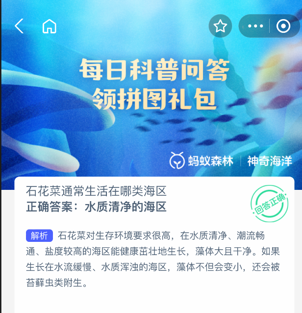 2025年8月13日神奇海洋問題解析-景澄手游網