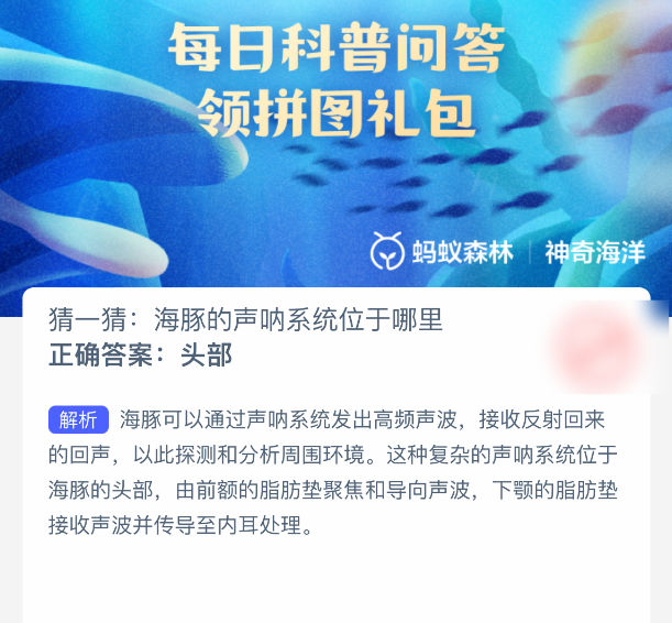 海豚聲吶系統在哪?螞蟻森林2月21日答案