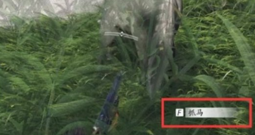 抓馬技巧