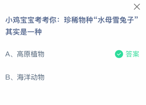 水母雪兔子是哪種植物？支付寶莊園2月22日答案-景澄手游網(wǎng)