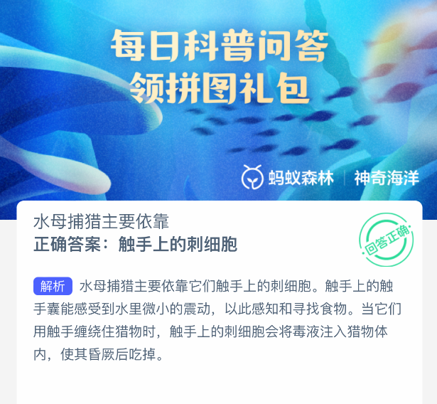 2025年8月4日螞蟻森林題目：水母捕獵機制解析-景澄手游網(wǎng)