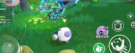 綠洲點位二