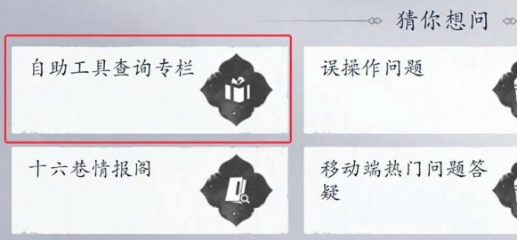 查看充值記錄