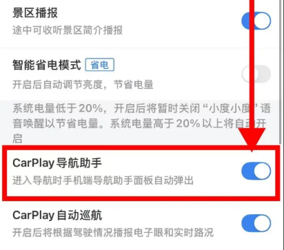 CarPlay開關