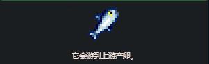 星露谷物語鮭魚怎么釣?收集攻略分享