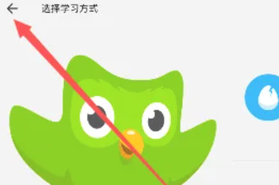多鄰國語種切換大揭秘！4步輕松掌握多語言學習路徑-景澄手游網