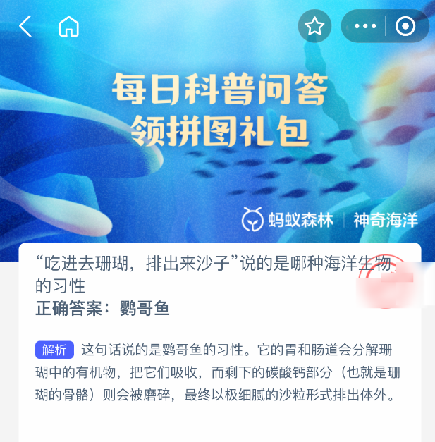 神奇海洋答案：鸚哥魚，吃珊瑚排沙子的海洋小能手-景澄手游網