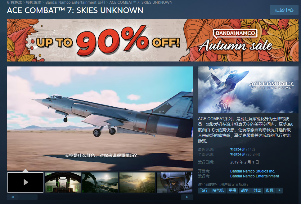 皇牌空戰(zhàn)7 Steam界面