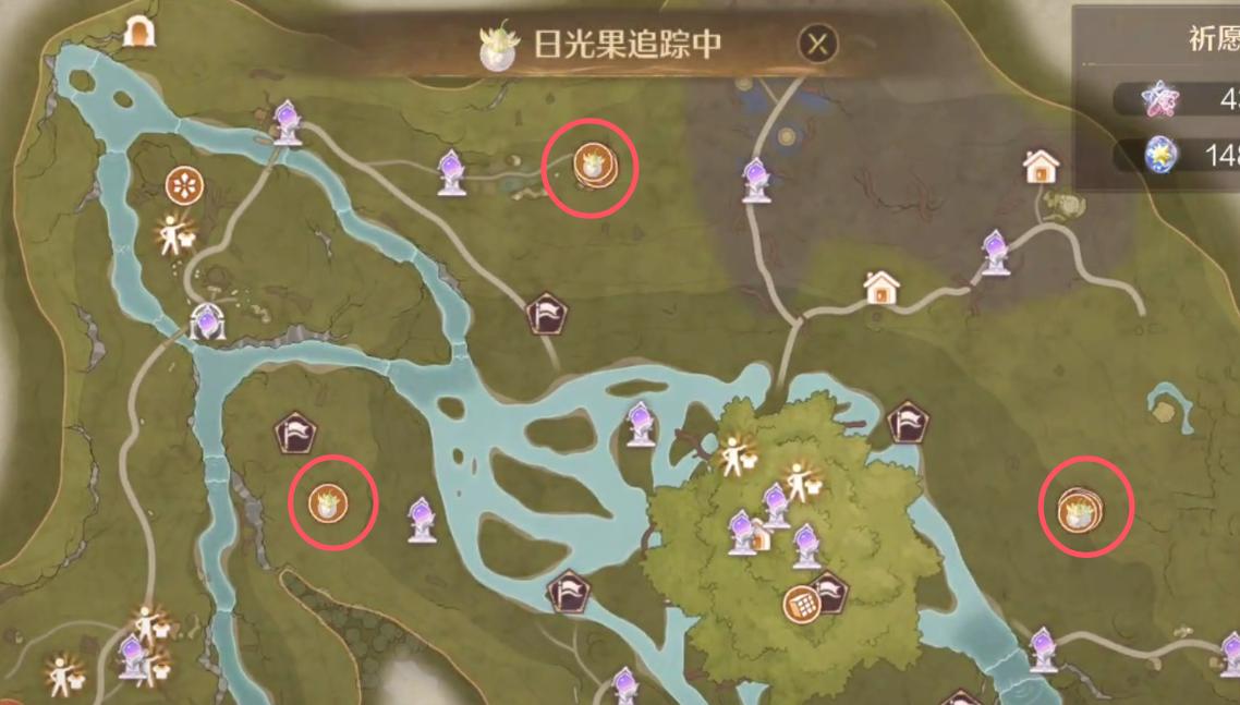 日光果分布位置