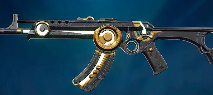 戍衛(wèi)步槍特寫