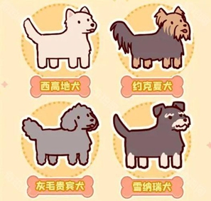 我的休閑時(shí)光萌寵樂(lè)園課程獎(jiǎng)勵(lì)有啥?快來(lái)瞧瞧
