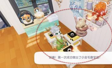 小金毛康寶藍完成