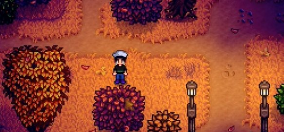 星露谷物語秘密紙條21如何完成?任務攻略