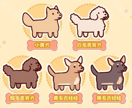 我的休閑時(shí)光狗狗怎么領(lǐng)養(yǎng)?四天步驟詳解
