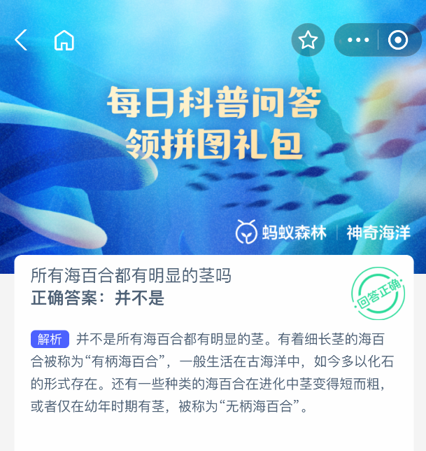 2025年8月20日螞蟻森林神奇海洋答案解析-景澄手游網(wǎng)