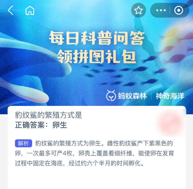 神奇海洋2025年7月31日答案｜豹紋鯊的繁殖方式-景澄手游網