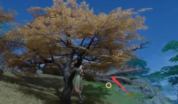 仙劍世界映月坡寶箱在哪?全收集攻略