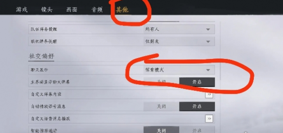 聊天顯示設(shè)置界面