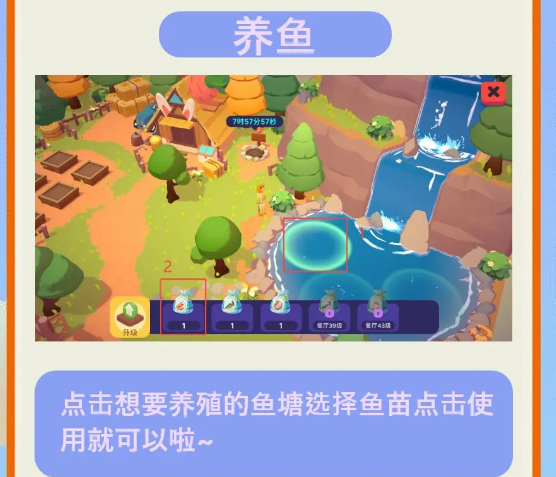 養(yǎng)魚場景