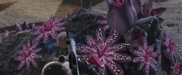 芽孢原礦分布圖