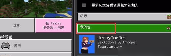 我的世界珍妮模組怎么導入?詳細步驟