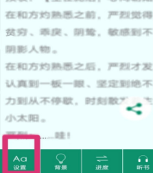 晉江文學城自動翻頁設置方法與翻頁速度調整