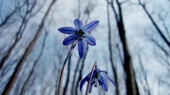 2025英雄聯盟女生昵稱指南：100個簡短好聽昵稱的深度解析與精選推薦
