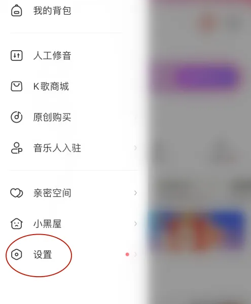 進入設置選項