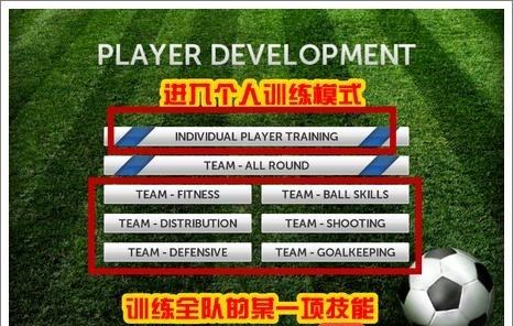 夢幻足球聯盟:訓練球星方法與步驟詳解