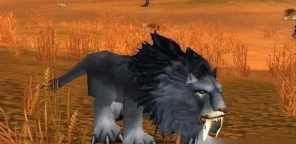 《魔獸世界》獅王修瑪在哪抓?位置指南
