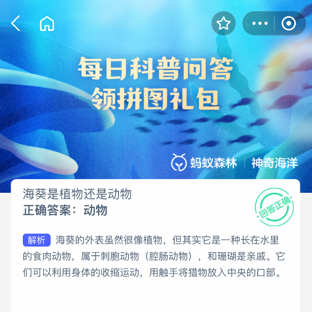 海葵是植物還是動物？神奇海洋2025年8月21日答案解析-景澄手游網