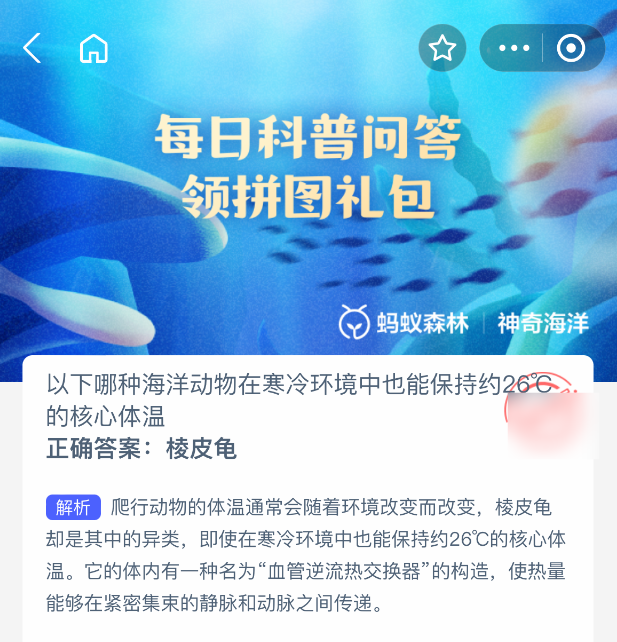 神奇海洋2025年5月20日答案解析：棱皮龜的恒溫奧秘-景澄手游網