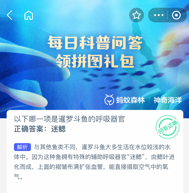 2025年8月11日螞蟻森林神奇海洋答案：暹羅斗魚的呼吸器官是什么-景澄手游網