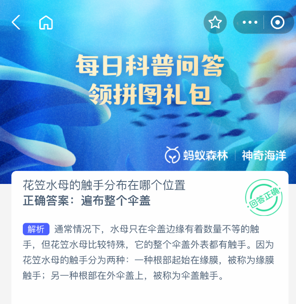 2025年8月12日支付寶螞蟻森林神奇海洋題目花笠水母觸手分布解析-景澄手游網