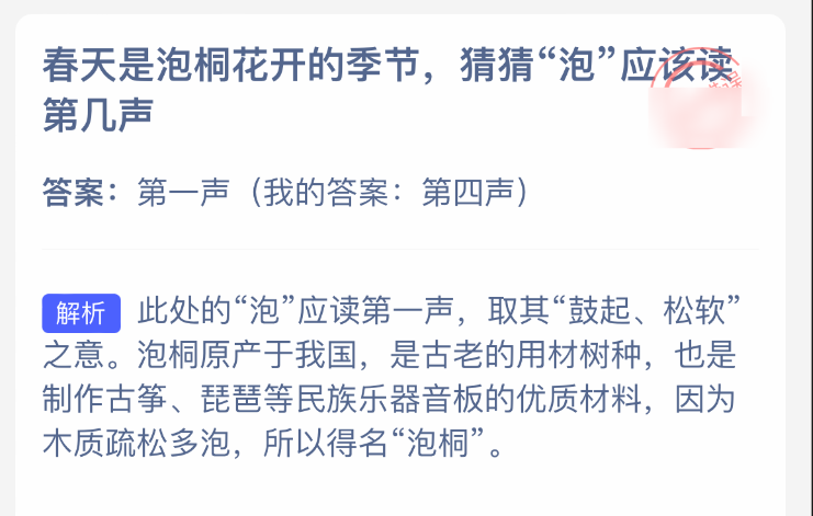 泡桐花開示意圖