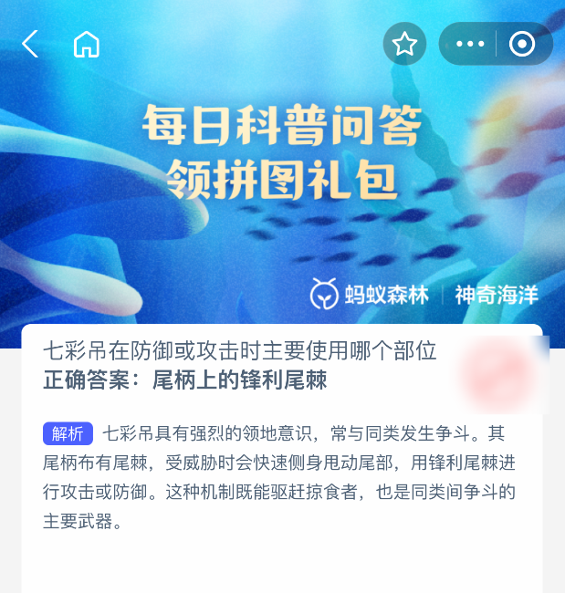 2025年7月17日支付寶螞蟻森林神奇海洋七彩吊的防御武器揭秘 | 神奇海洋今日答案-景澄手游網