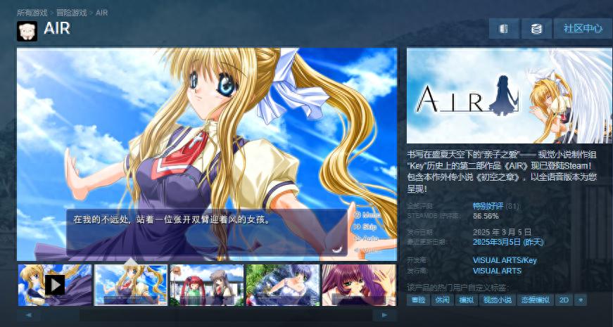《AIR》登陸Steam值得買嗎?首發97.2元好評率高!