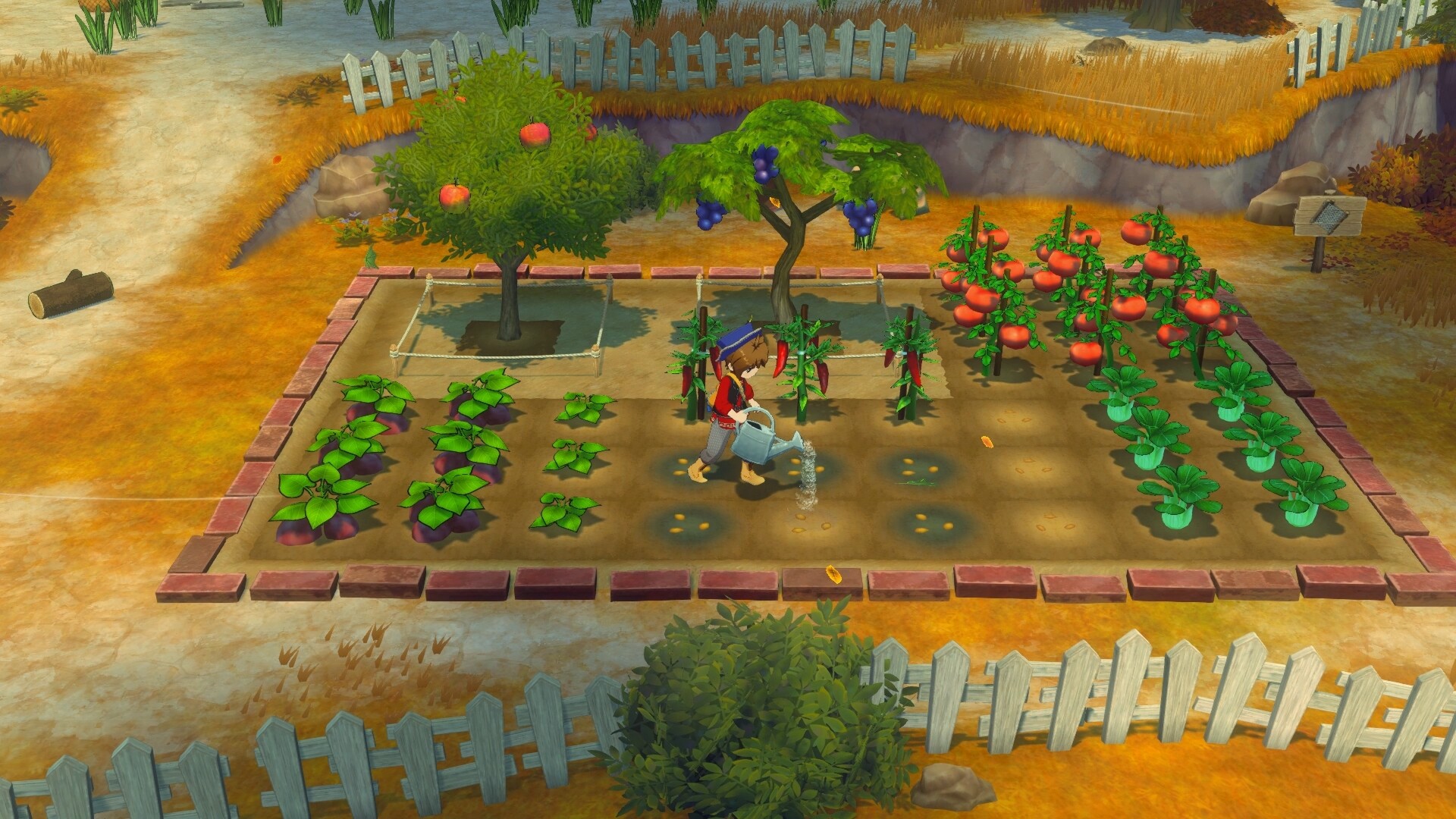 《牧場物語：來吧！風之繁華集市》發售信息-景澄手游網