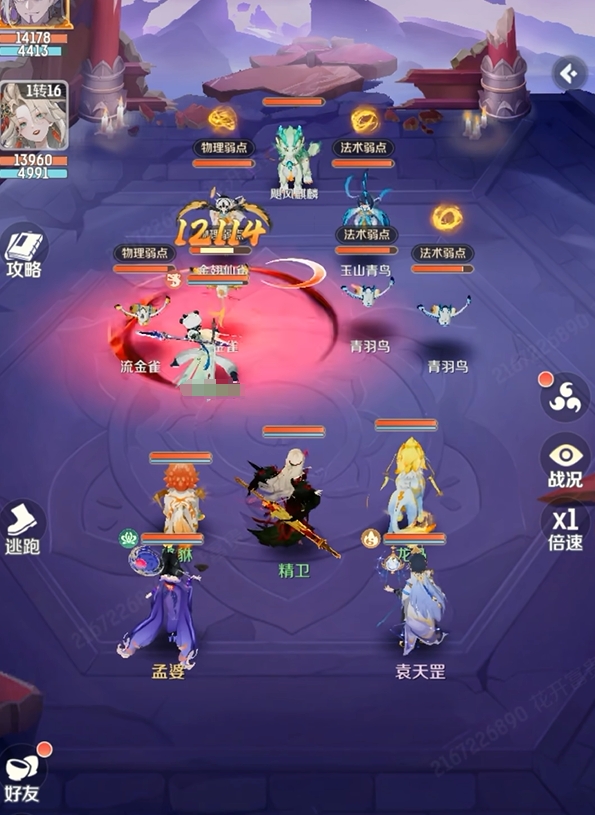 隊伍搭配方案