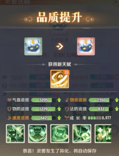 各階段形態對比