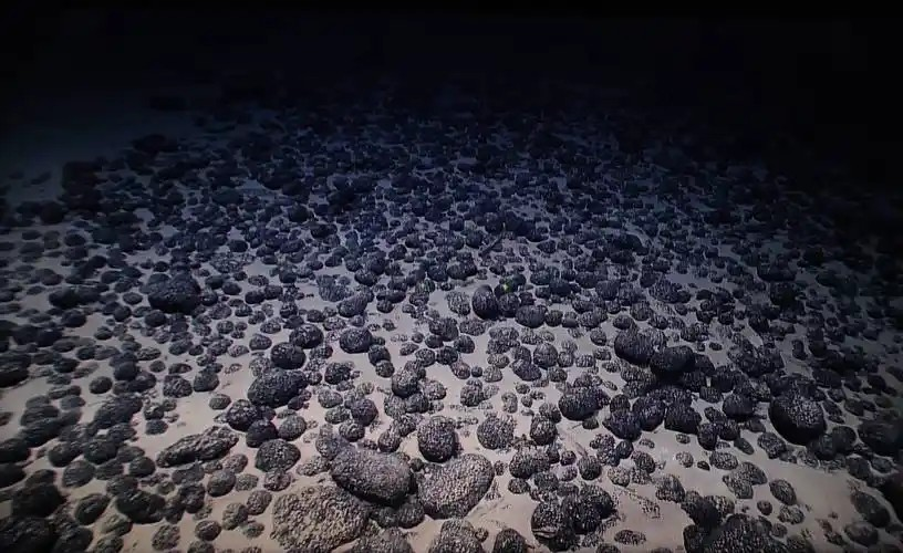 哪種海洋環(huán)境有“黑色食物鏈”?深海揭秘