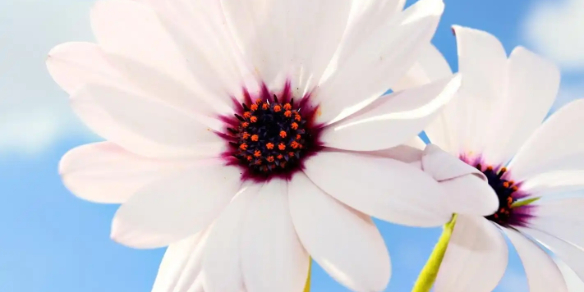 2025英雄聯盟女生昵稱指南：100個簡短好聽昵稱的深度解析與精選推薦